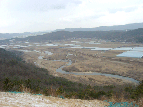 능선에서 바라 본 갑천 